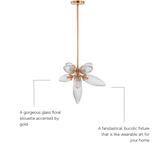 Amaryllis, Chandelier