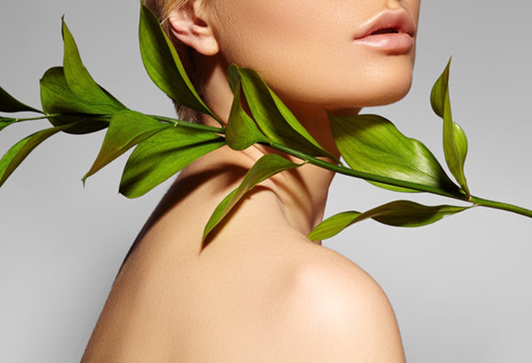 A quick spin on organic and sustainable personal care trends