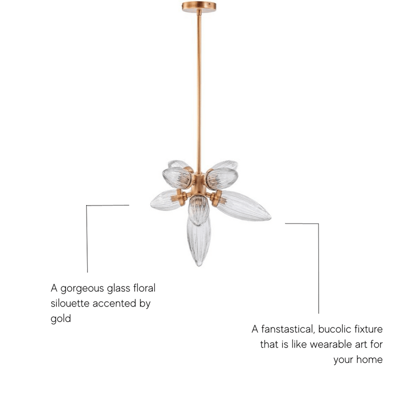 Amaryllis, Chandelier